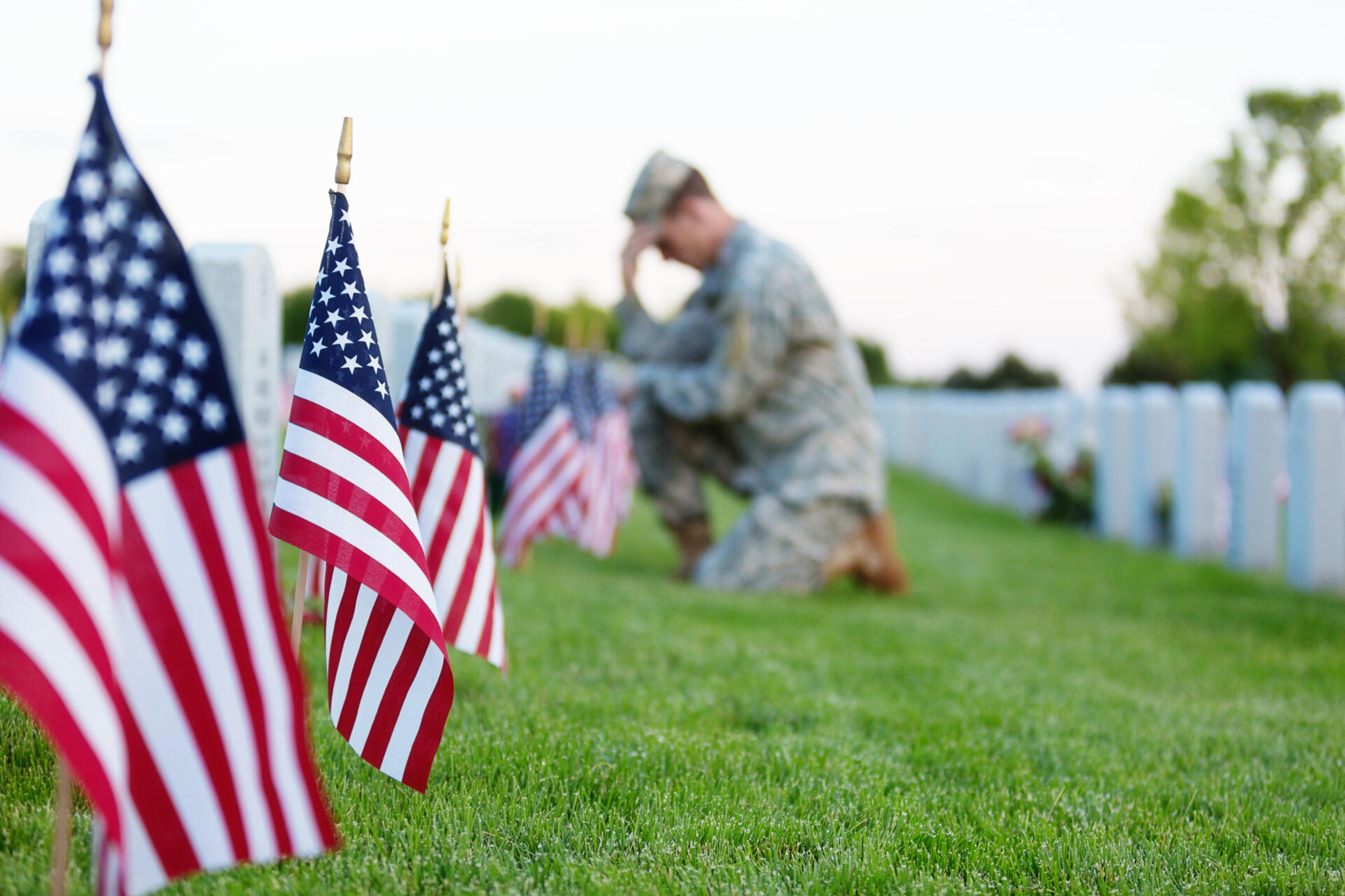 Memorial Day Meaning & Must-Haves Items - Hamrick's, Inc.